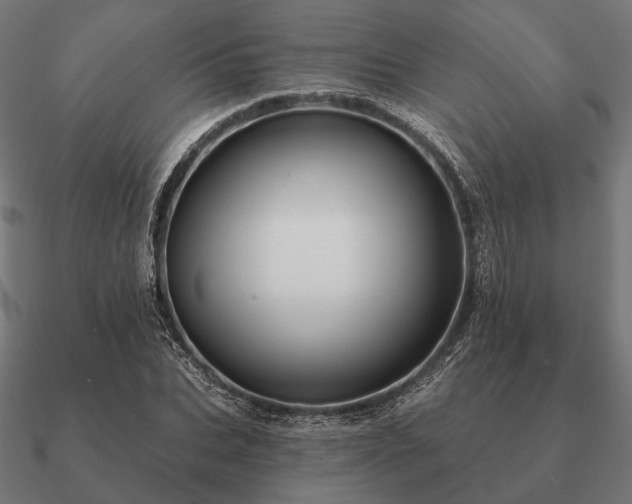 X0000090910927200708061519