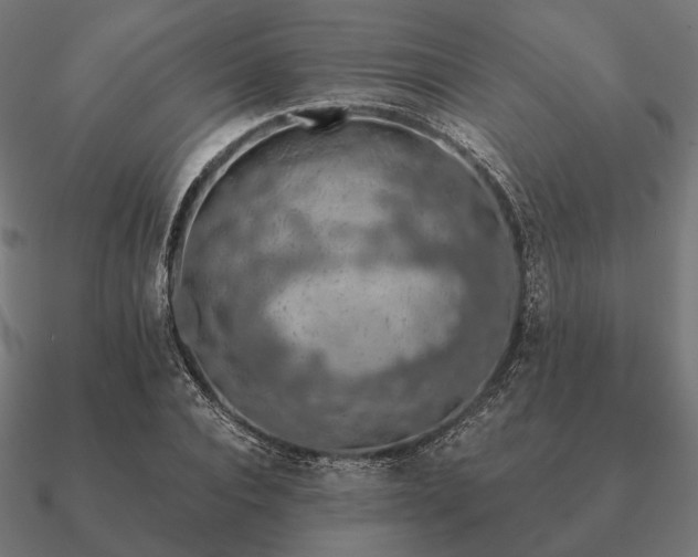 X0000090910928200708061519