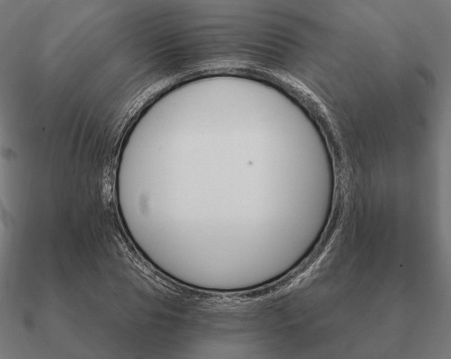 X0000090910929200708061519