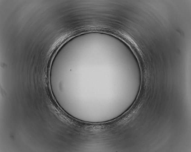 X0000090910930200708061520