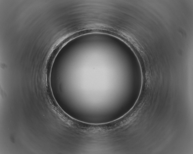 X0000090910931200708061520