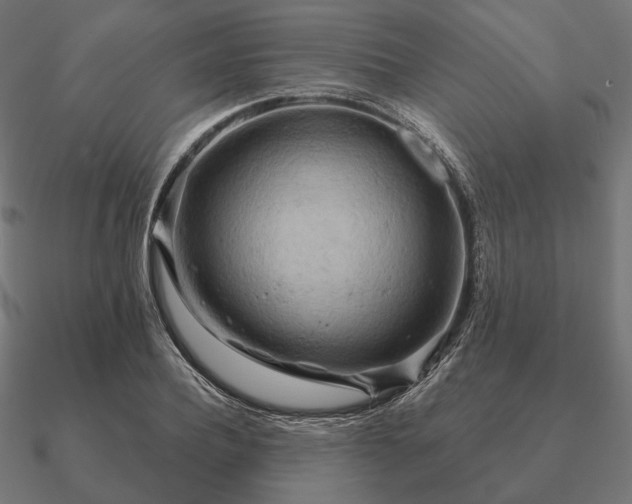 X0000090910932200708061520