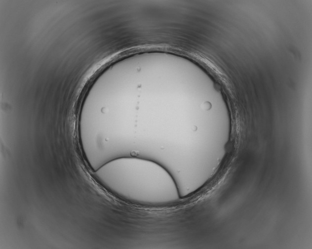 X0000090910933200708061520