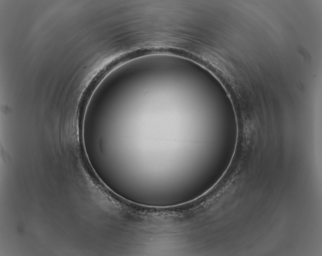 X0000090910934200708061520