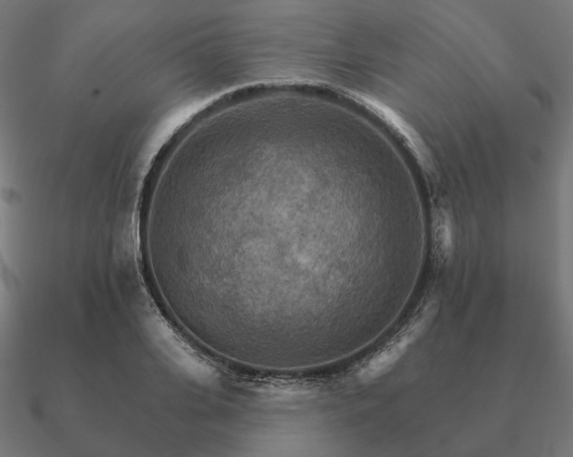 X0000090910935200708061520