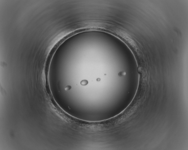 X0000090910936200708061520