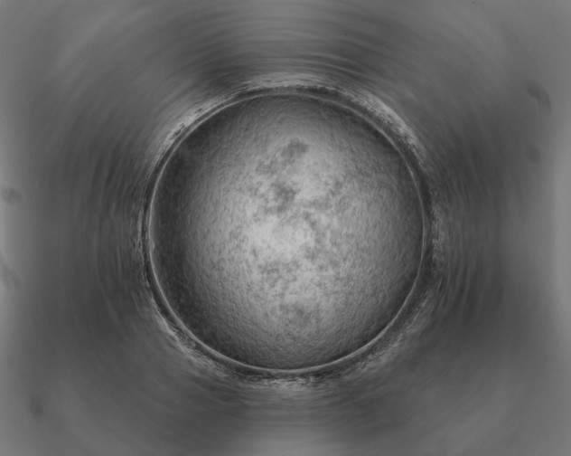 X0000090910937200708061520