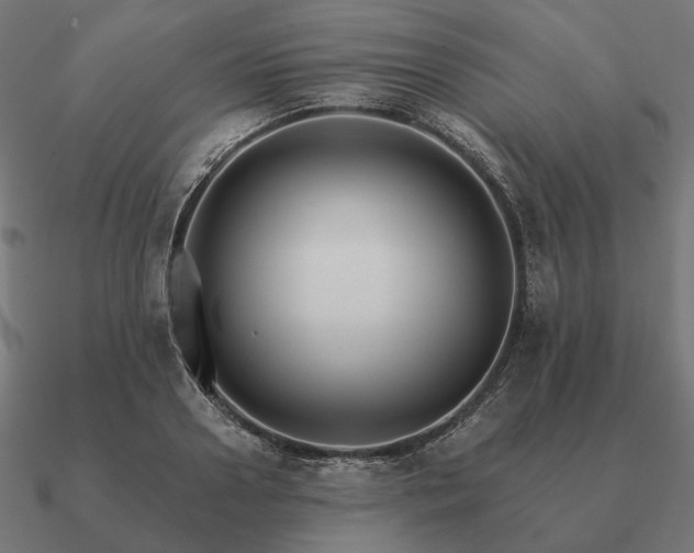 X0000090910938200708061520