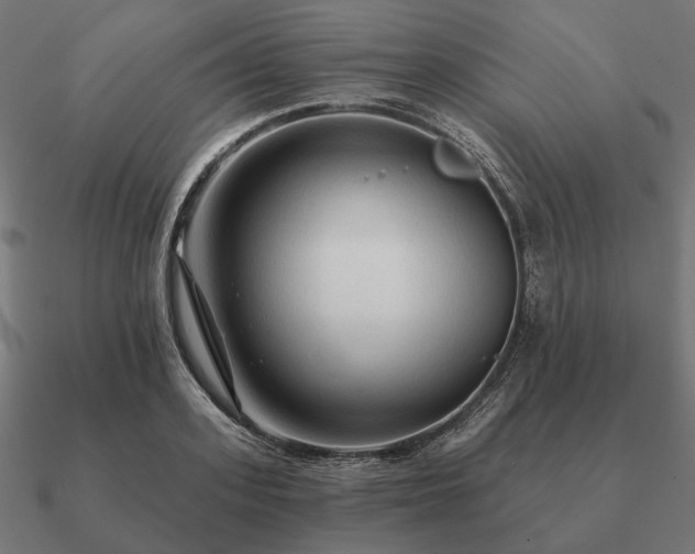 X0000090910939200708061520