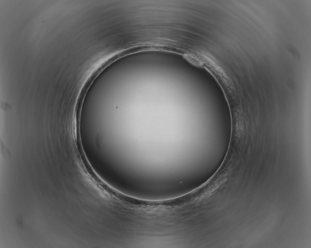 X0000090910940200708061520