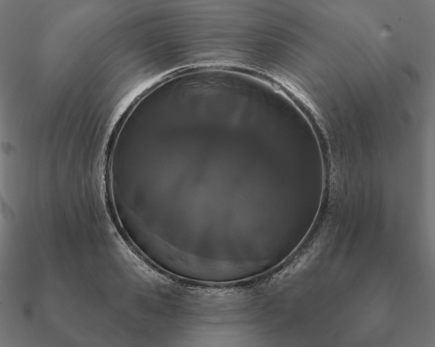 X0000090910941200708061520