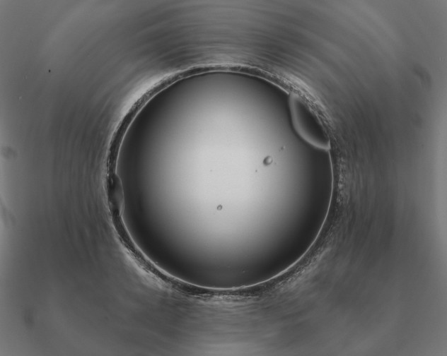 X0000090910942200708061520