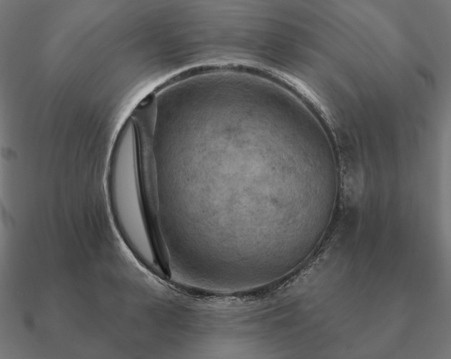 X0000090910943200708061520