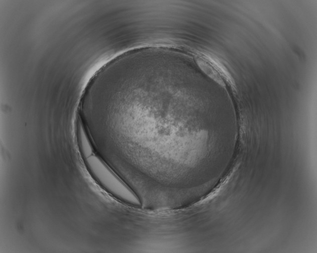 X0000090910944200708061520