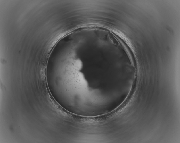 X0000090910945200708061520