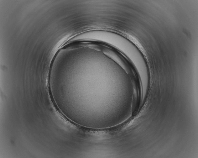 X0000090910946200708061520