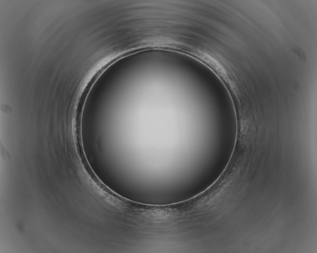 X0000090910947200708061520