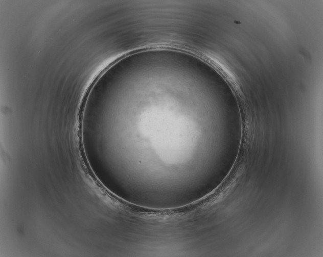 X0000090910948200708061520