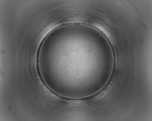 X0000090910949200708061520