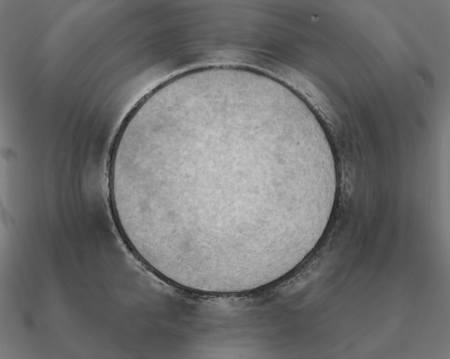 X0000090910950200708061520