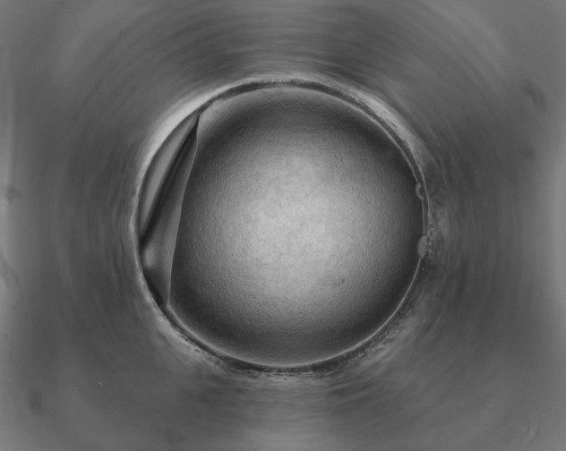 X0000090910951200708061520