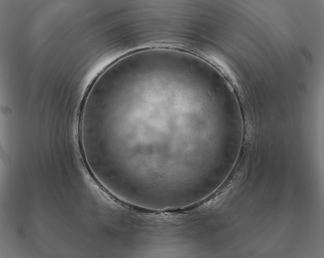 X0000090910952200708061520