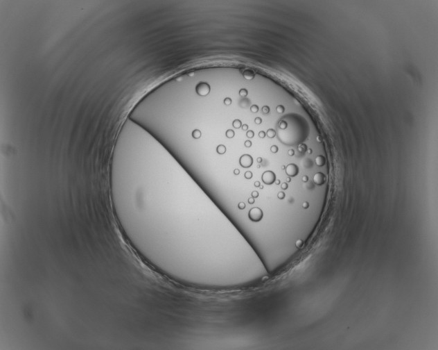 X0000090910953200708061520