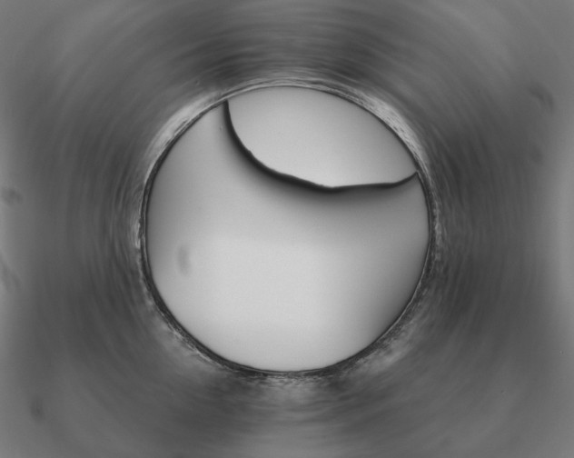 X0000090910954200708061520