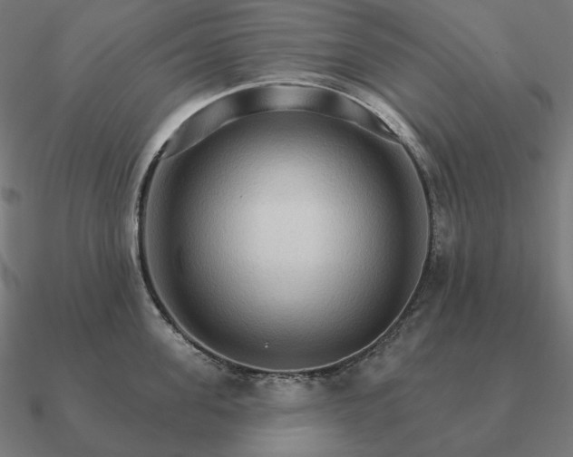 X0000090910955200708061520