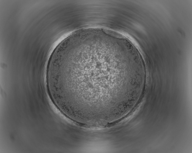 X0000090910957200708061520