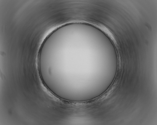 X0000090910958200708061520