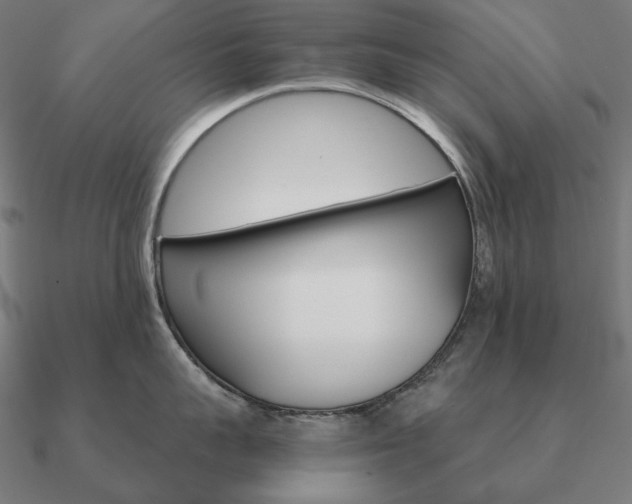 X0000090910959200708061520