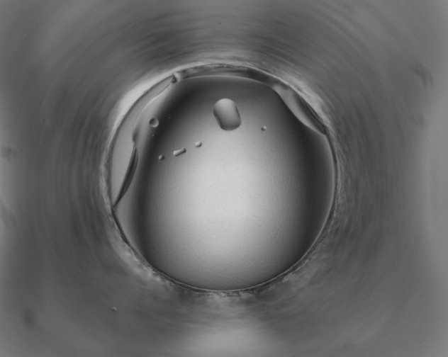 X0000090910960200708061520