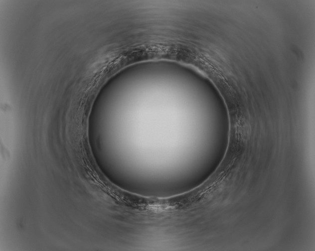 X0000090910961200708061519