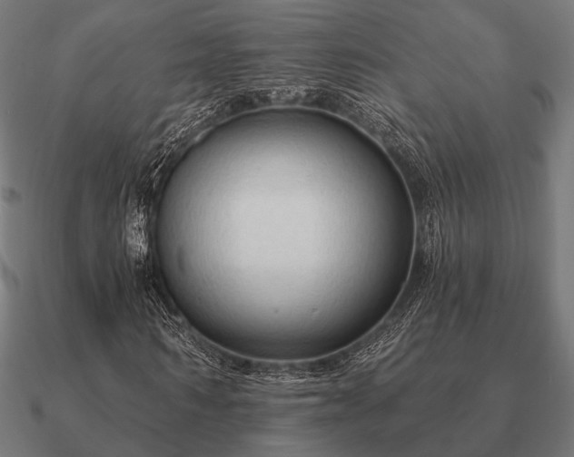 X0000090910962200708061519