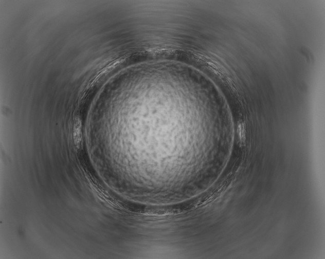 X0000090910963200708061519