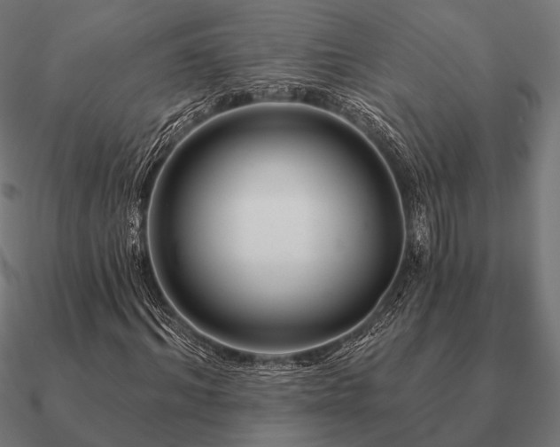 X0000090910964200708061519