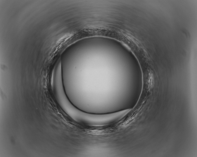 X0000090910965200708061519