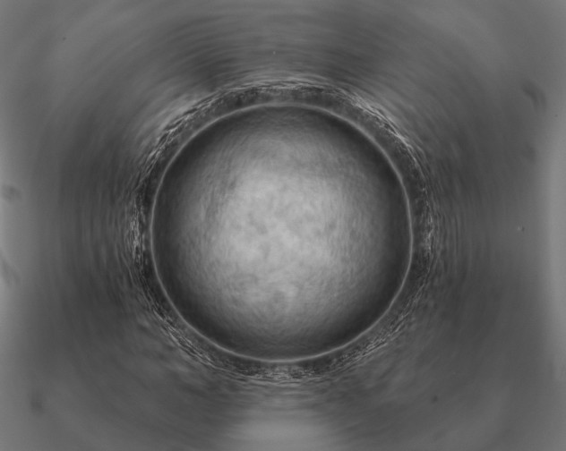 X0000090910966200708061519