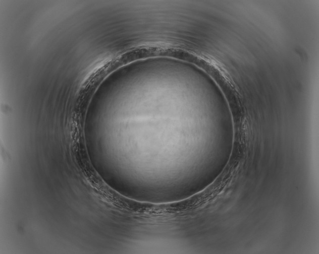 X0000090910967200708061519