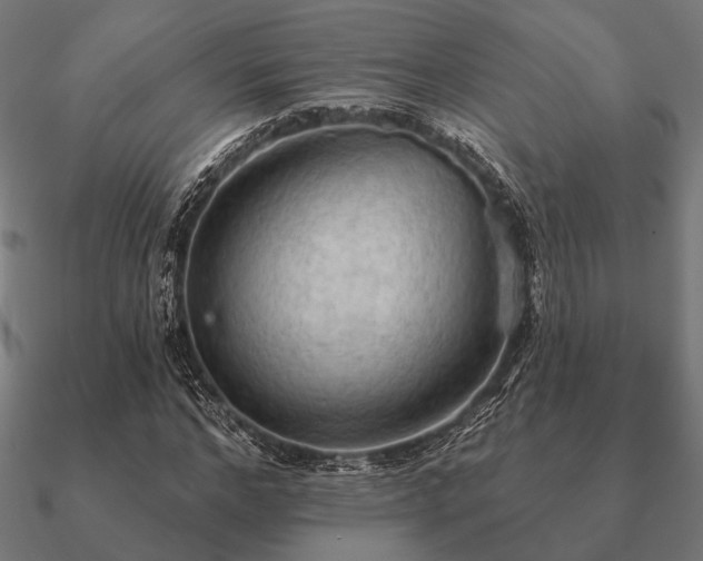 X0000090910968200708061519