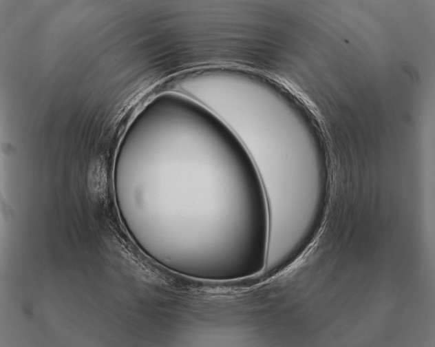 X0000090910969200708061519