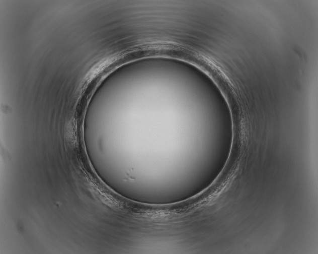 X0000090910970200708061519