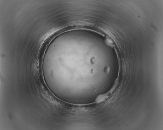 X0000090910971200708061519