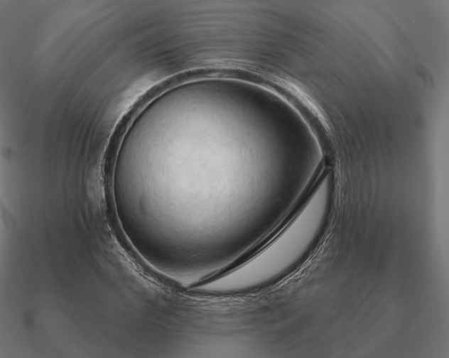 X0000090910972200708061519