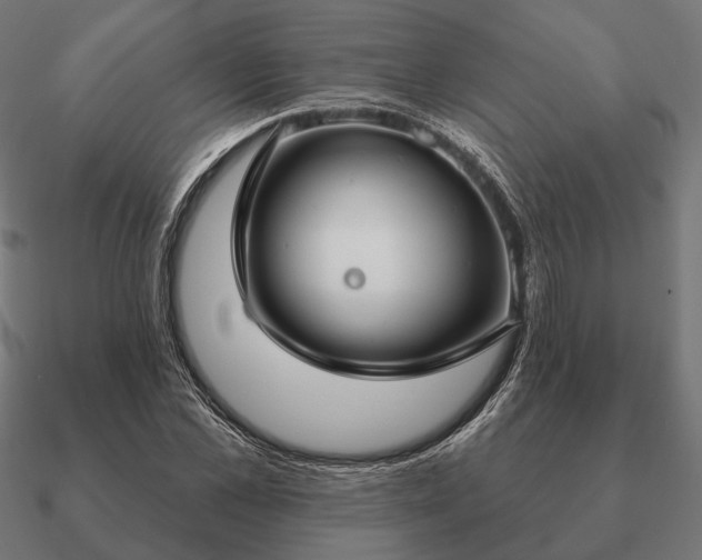 X0000090910973200708061519