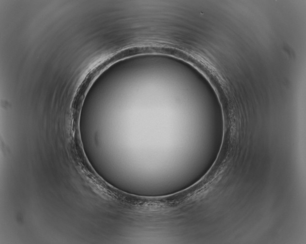 X0000090910974200708061519