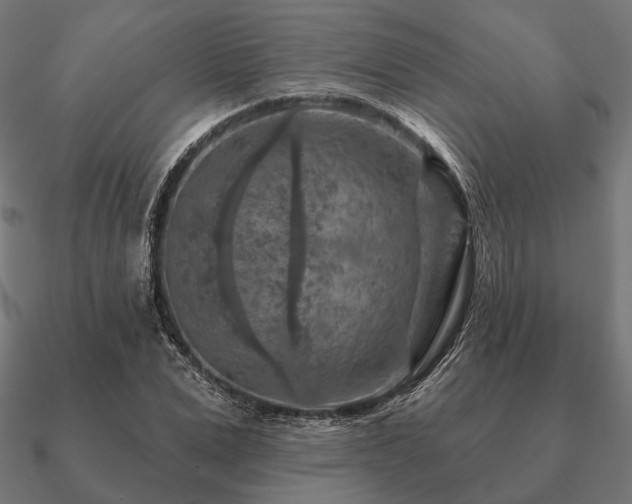 X0000090910975200708061519