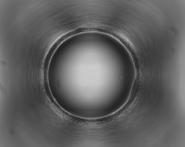 X0000090910976200708061519