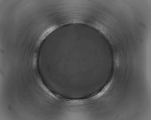 X0000090910977200708061519